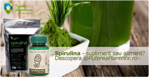 spirulina