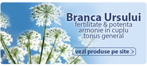 branca ursului